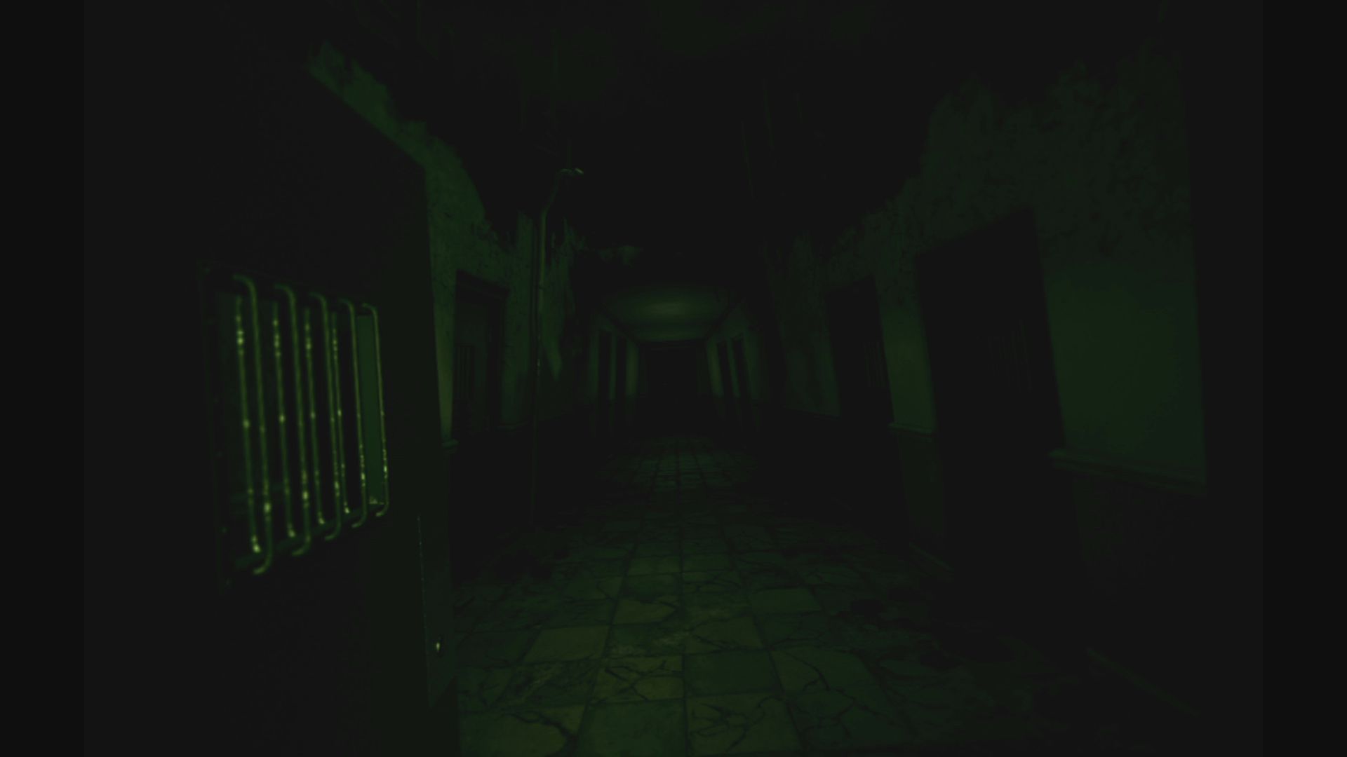The Inpatient